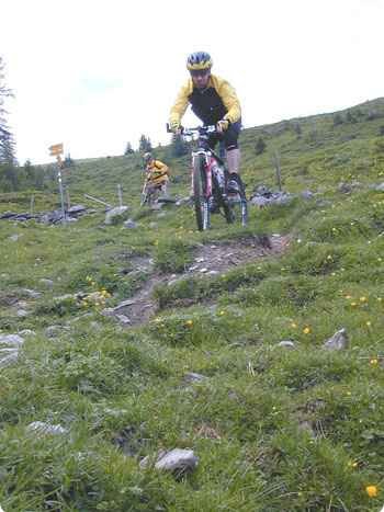 downhill2_gross.jpg