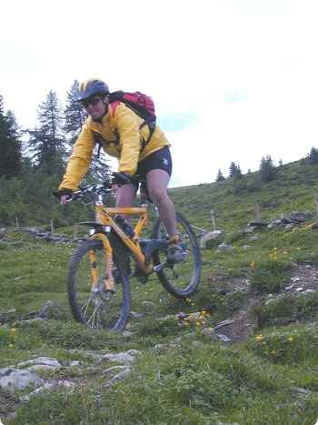 downhill_gross.jpg