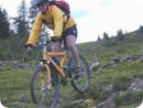 downhill_gross.jpg