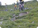 downhill2_gross.jpg