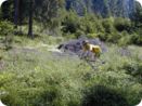 natur_gross.jpg