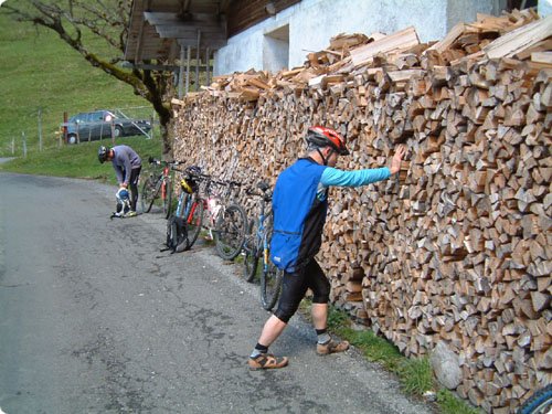 ernst_stretching_gross..jpg