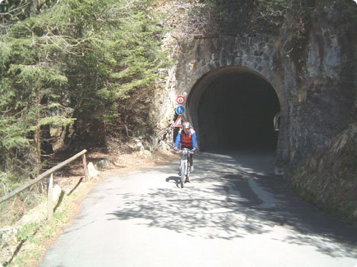 max_tunnel_gross.jpg