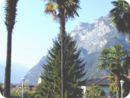 dscn1987.jpg