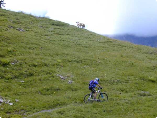 dscn3334.jpg