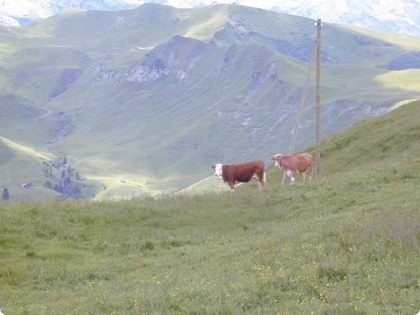dscn3353.jpg