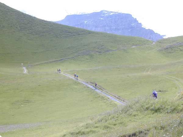 dscn3367.jpg
