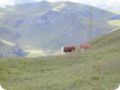 dscn3353.jpg