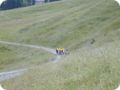 dscn3386.jpg