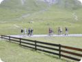dscn3439.jpg