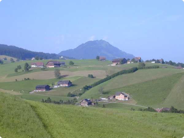 dscn2998.jpg
