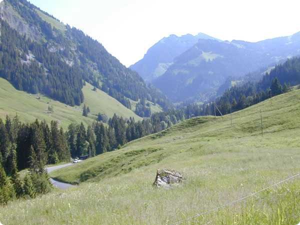dscn3006.jpg