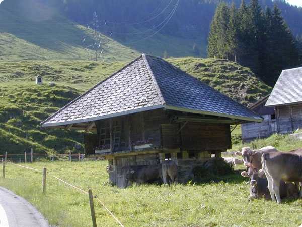 dscn3014.jpg