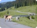 dscn3009.jpg