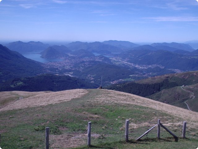 freitag_290.jpg