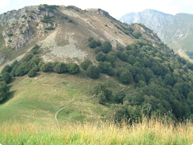 mittwoch_184.jpg
