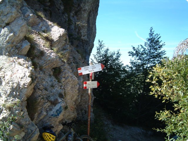 sonntag_36.jpg