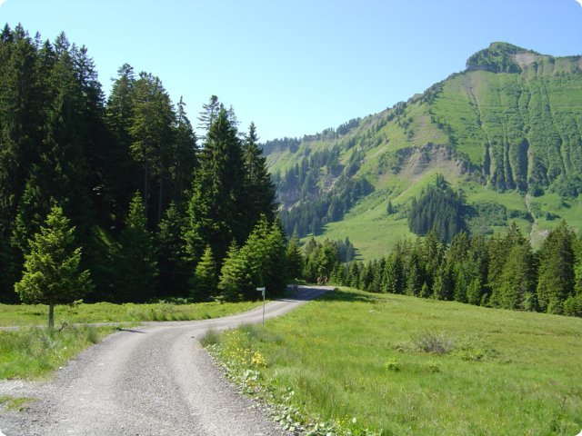 154.jpg