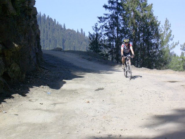 119.jpg