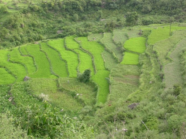 145.jpg
