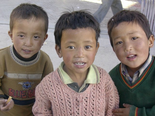 201.jpg