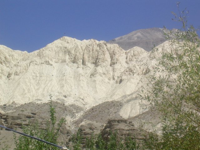 223.jpg