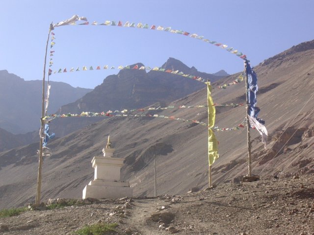 224.jpg