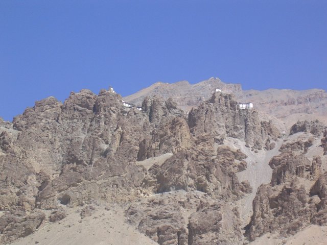246.jpg