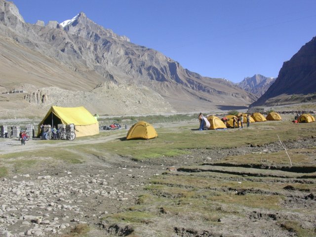 256.jpg