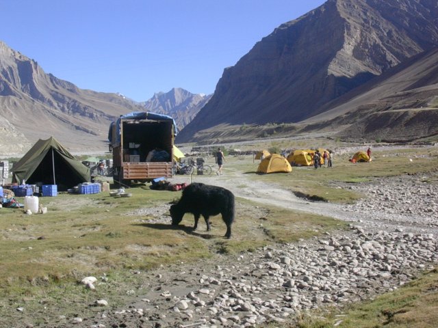 258.jpg