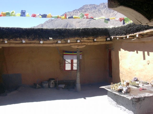 264.jpg