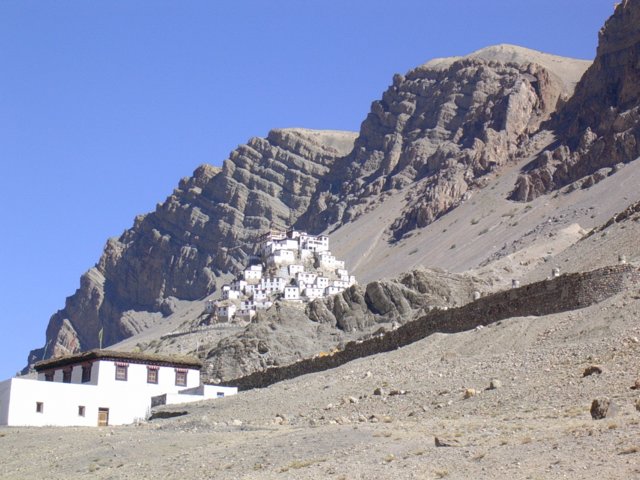 273.jpg