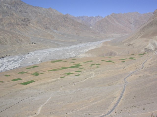 279.jpg