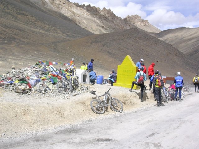 339.jpg