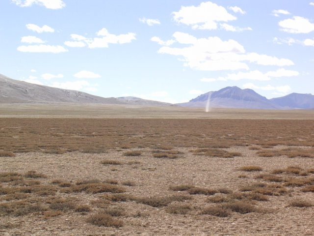 359.jpg