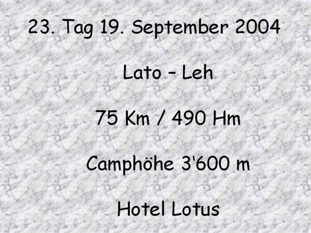 376.jpg