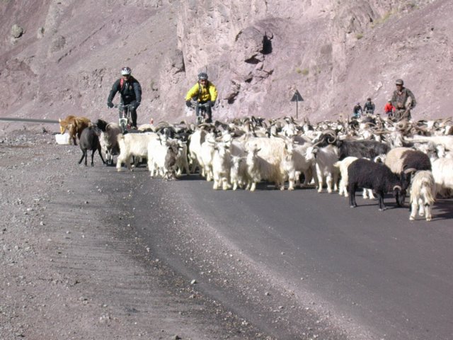 377.jpg