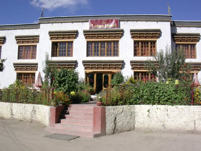 383.jpg