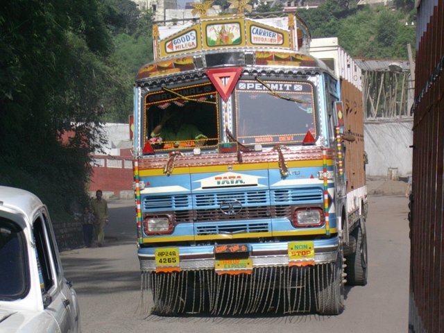 73.jpg