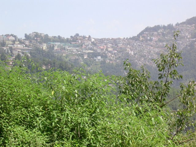 74.jpg