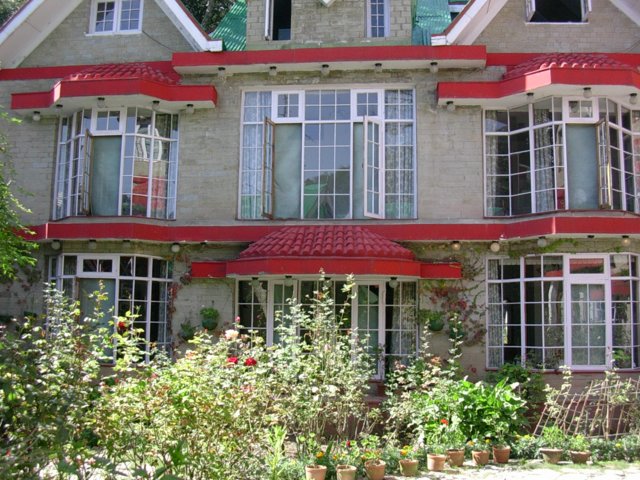 81.jpg