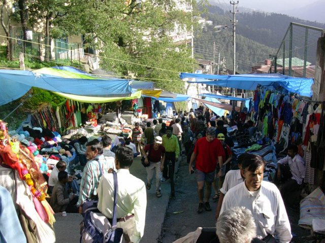 83.jpg