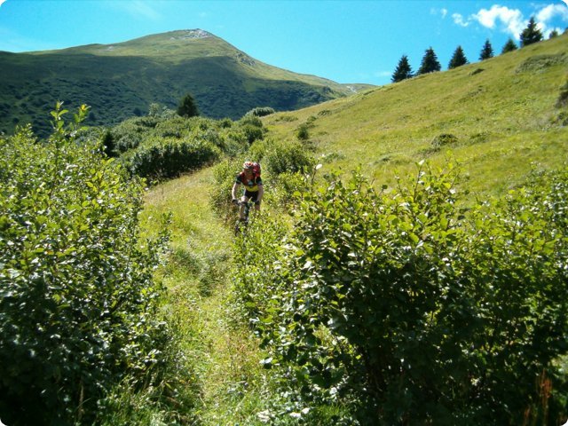 hpim0328.jpg