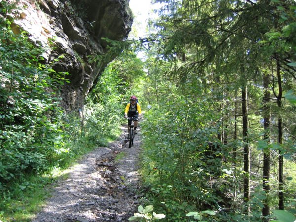 alle_fotos_ehrwald_071.jpg