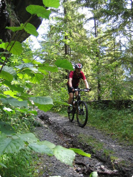 alle_fotos_ehrwald_078.jpg