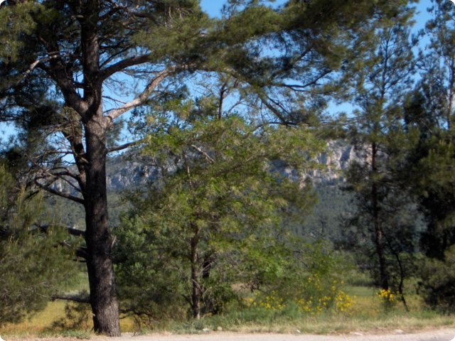 105.jpg