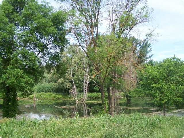 142.jpg