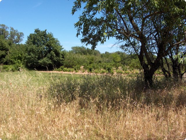 183.jpg