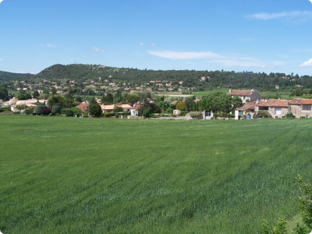 91.jpg