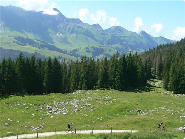 080.jpg